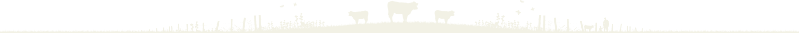 YORG Dairy
